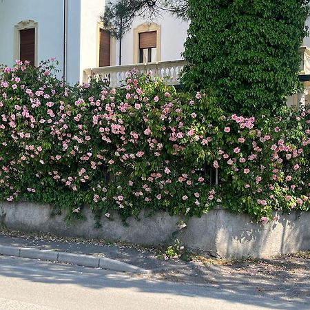 Il Bozzolo Eco Boutique Apartments Valeggio sul Mincio Zewnętrze zdjęcie