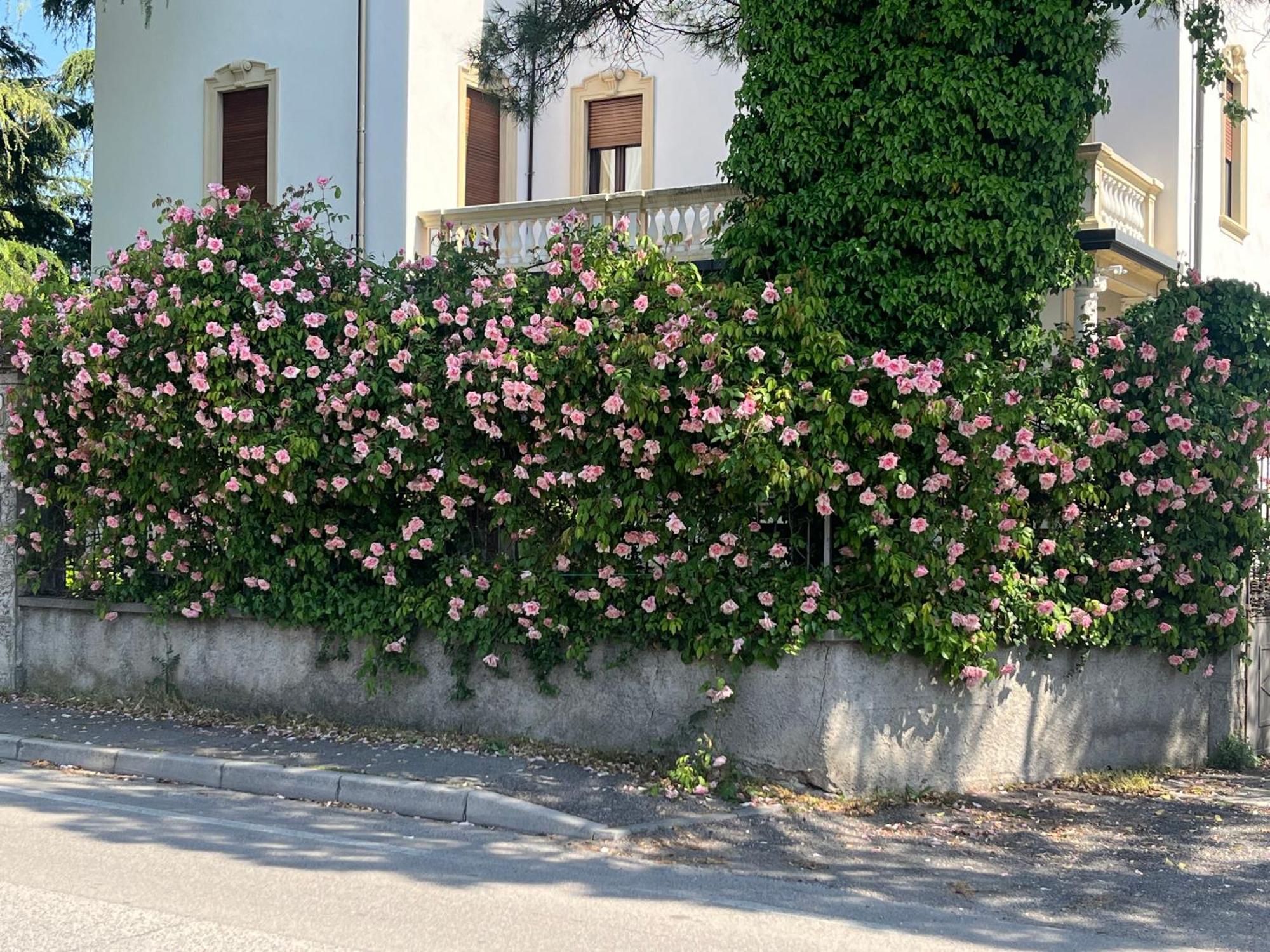 Il Bozzolo Eco Boutique Apartments Valeggio sul Mincio Zewnętrze zdjęcie